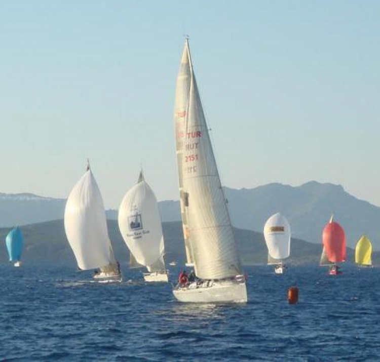 Summer-Fall Trophy – Arts on Parade – Hot Debate of Touts
