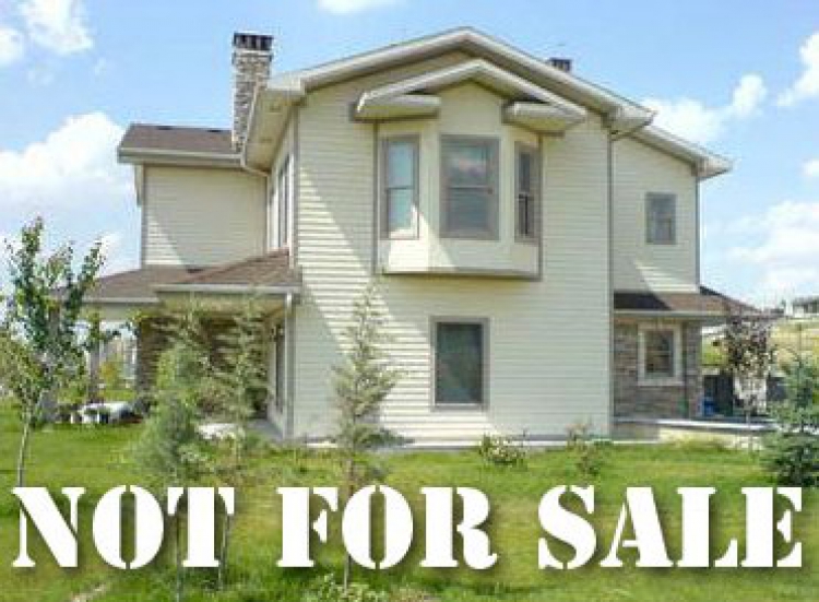 Property Sales Halted – Trump Watch – Children’s Day..