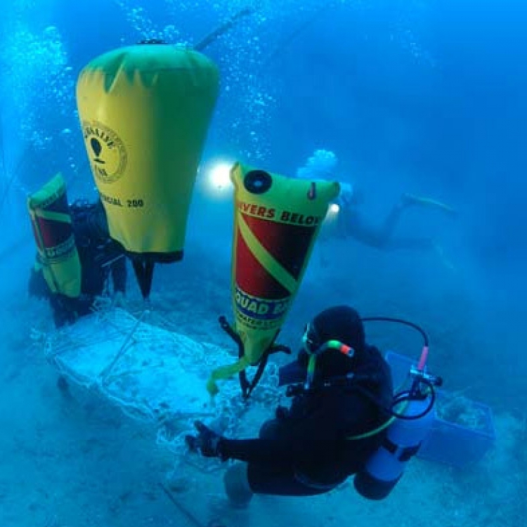 Secret of shipwreck solved after five-year conservation
