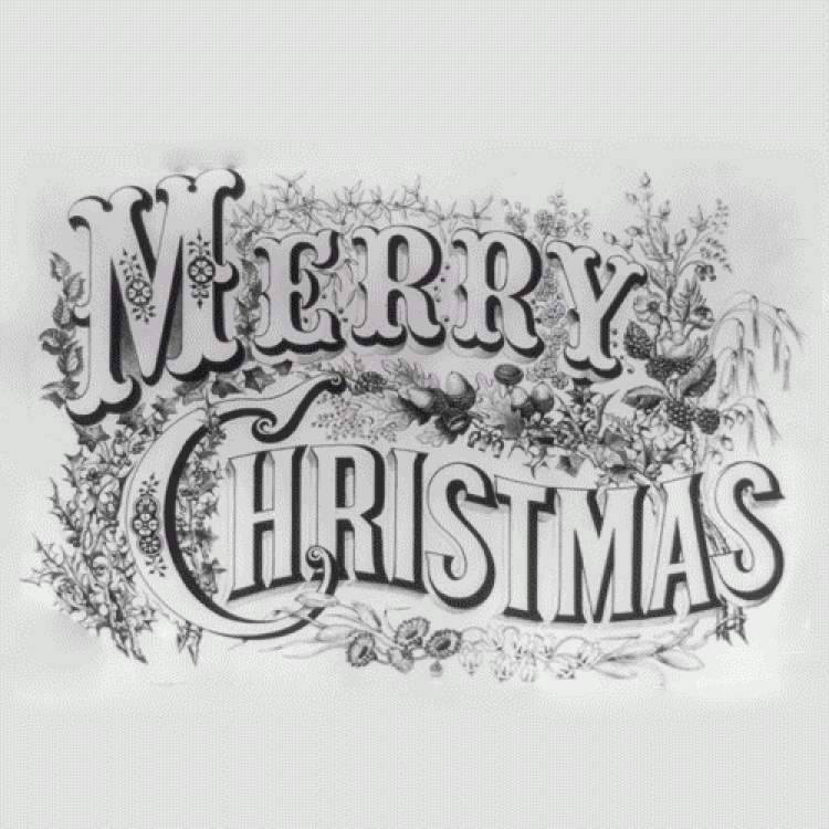 Xmas/2010 – Bodrum Blues – Konacik acts