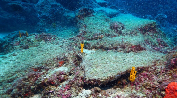 Worlds Oldest Shipwreck Found in Mediterranean